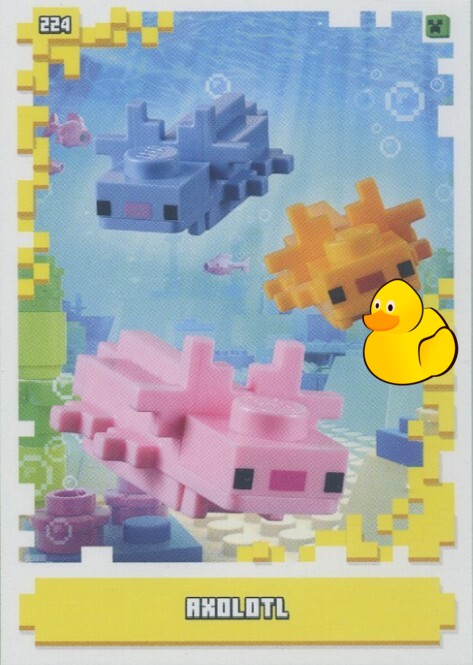 LEGO Minecraft Serie 1 | #224 Axolotl
