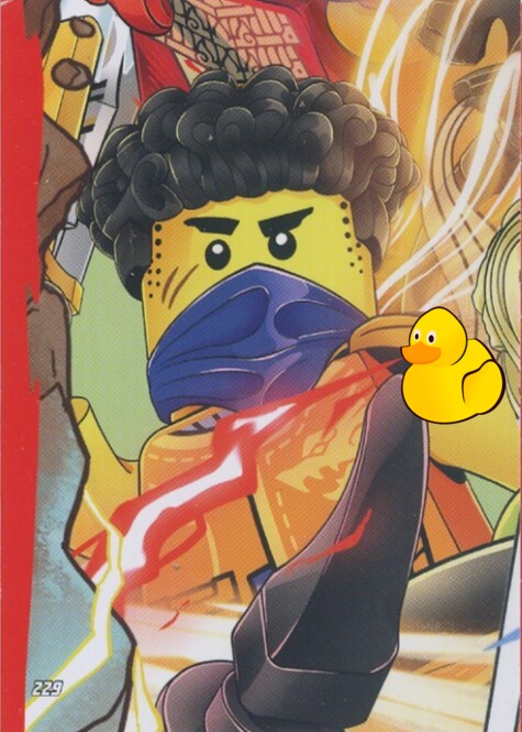 LEGO Ninjago Serie 10 |  #229 Puzzle 1 – mitte links