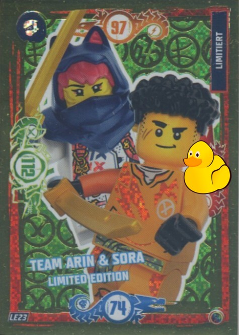 LEGO Ninjago Serie 9 | #LE23 Team Arin & Sora