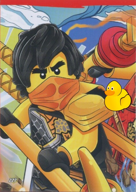 LEGO Ninjago Serie 10 |  #227 Puzzle 1 – oben mitte